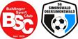 Logo BSC SGSO